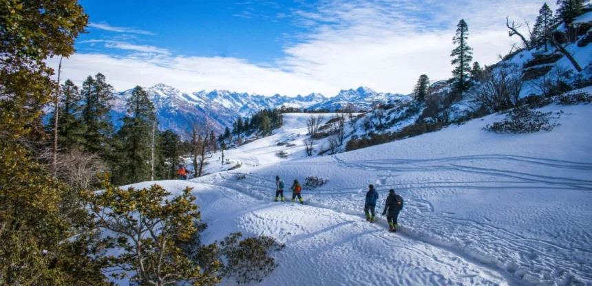 Himachal Skiing Tour