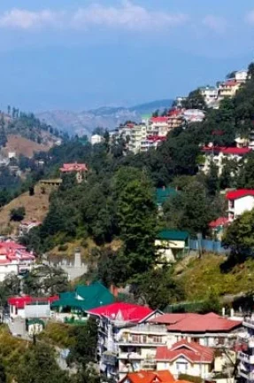 Shimla - Weekend Special