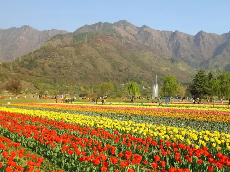 Essence of Kashmir with Gulmarg & Pahalgam