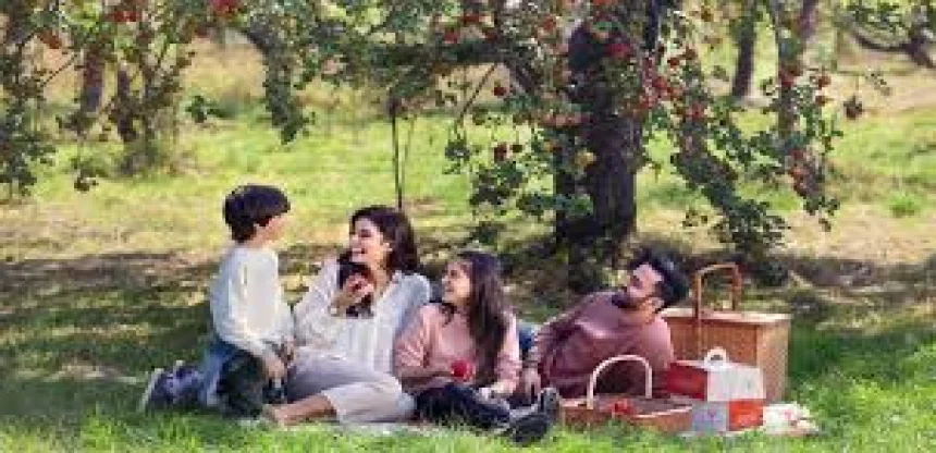 Kashmir Family Escape