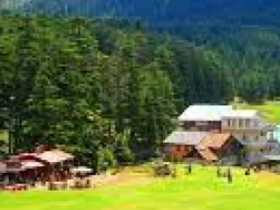 Scenic Himachal Delight Tour