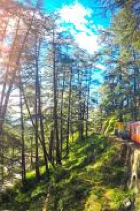 A Short Trip to Shimla