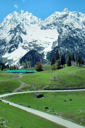 Incredible Kashmir with Sonamarg